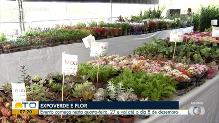 Evento 'Expoverde e Flor', com exposição de plantas, segue até 8 de dezembro