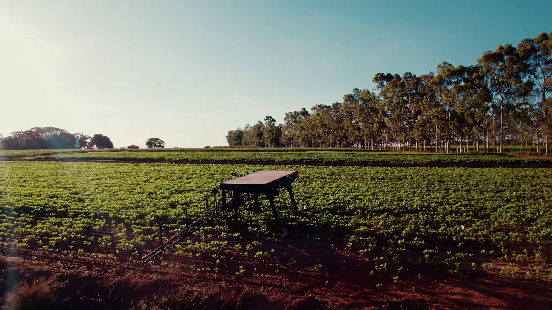 Gestão de risco: custa caro se proteger das mudanças climáticas no campo?