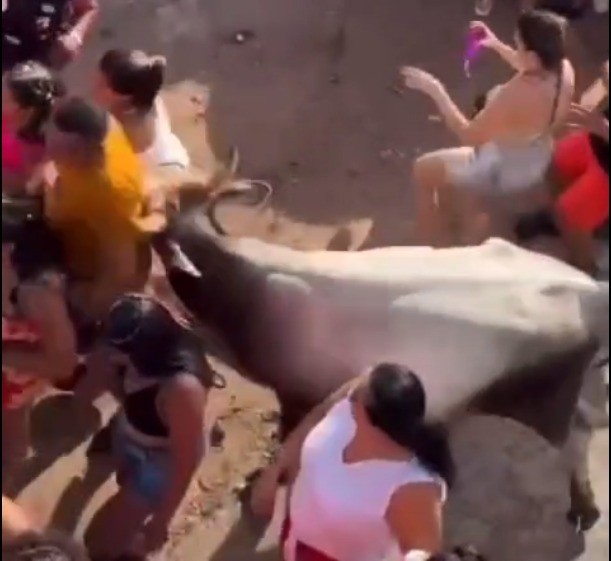 VÍDEO: Vaca invade festa de carnaval e deixa pessoas feridas no interior do RN