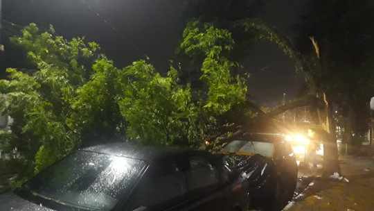 Árvore cai em cima de dois carros e derruba fiação elétrica em São José - Foto: (Andressa Lorenzetti/TV Vanguarda)