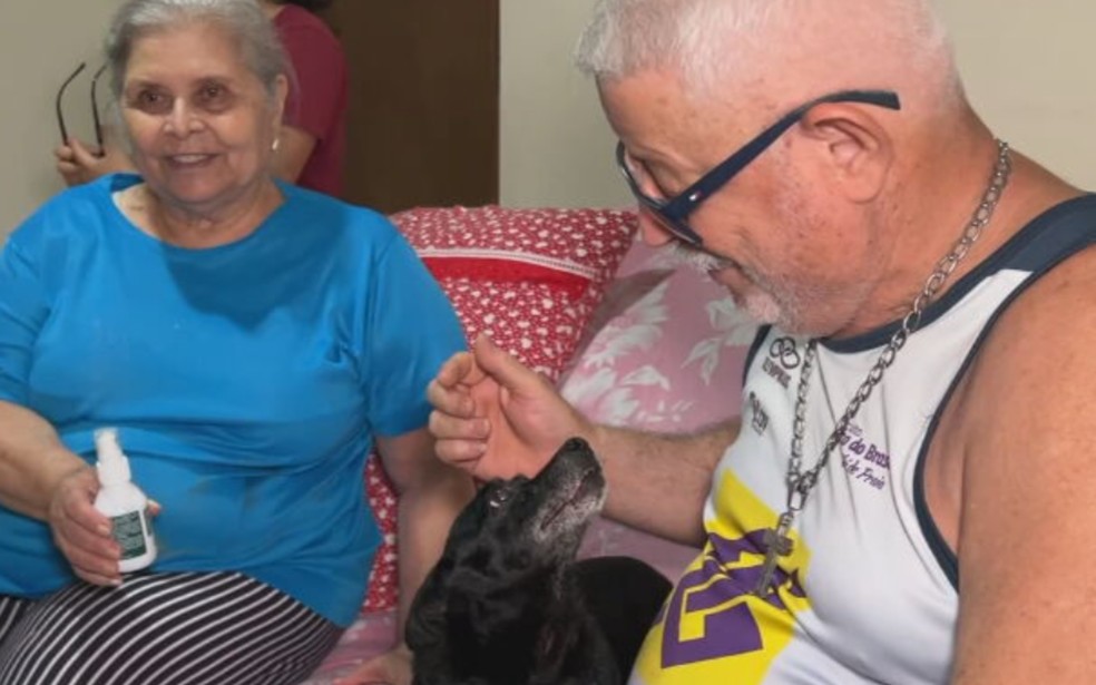 3 de 7
Cachorro Fred chegou &agrave; fam&iacute;lia de Hosana Amaral, moradora de Ara&ccedil;atuba (SP) e hoje &eacute; um importante integrante da fam&iacute;lia &mdash; Foto: TV TEM/Reprodu&ccedil;&atilde;o