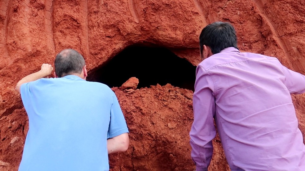 Duas "paleotocas" foram encontradas em Campo Bom; na foto, o professor Heinrich Theodor Frank e o secretário João Flávio da Rosa — Foto: Gabriel Silveira/Prefeitura de Campo Bom