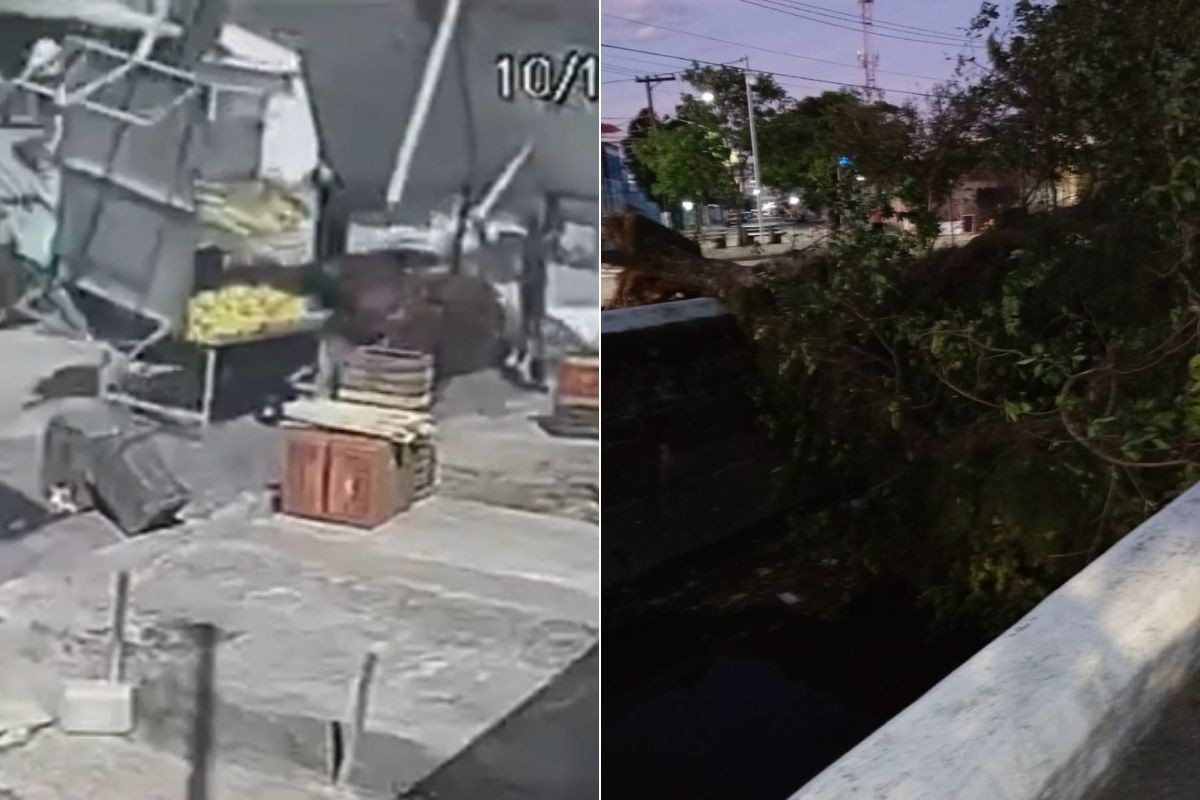 Ventania destrói barracas em feira e derruba mais de 30 árvores no litoral de SP; VÍDEO