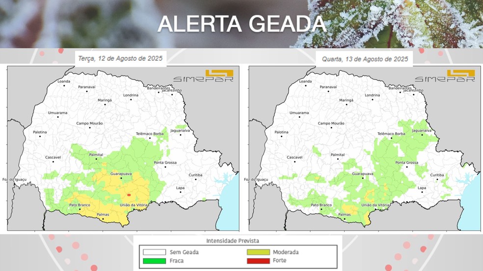 Previsão de geadas para o Paraná — Foto: Reprodução/Simepar
