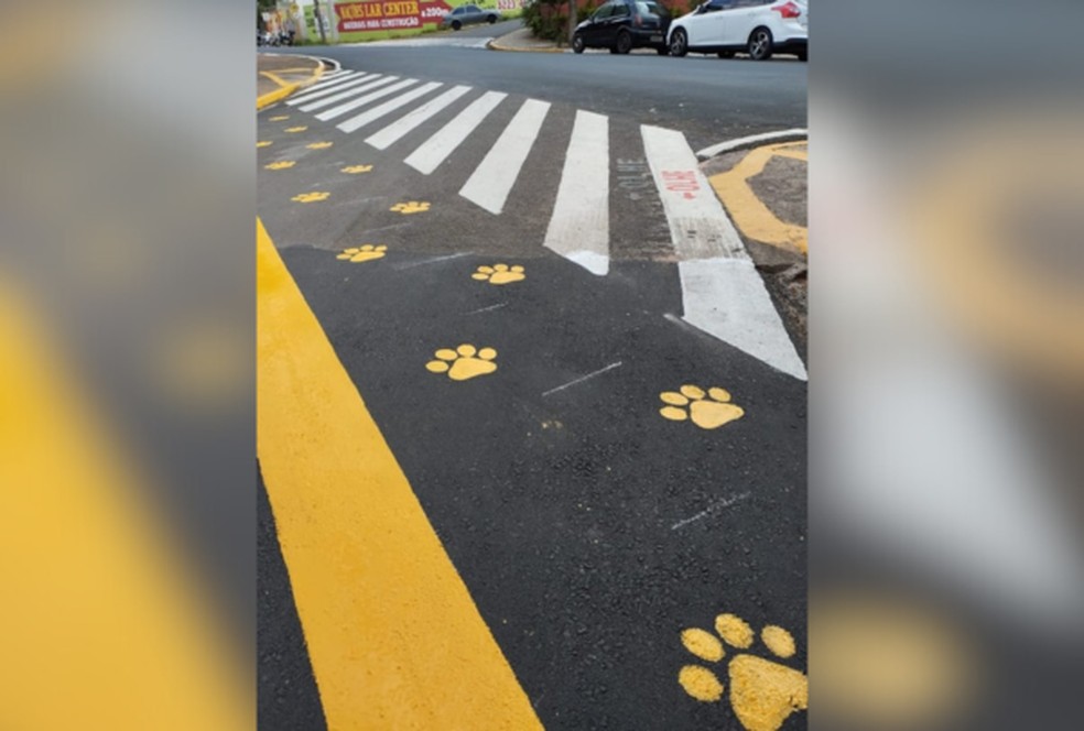 Faixa pet está localizada no acesso ao Parque Vitória Régia — Foto: Emdurb/Divulgação