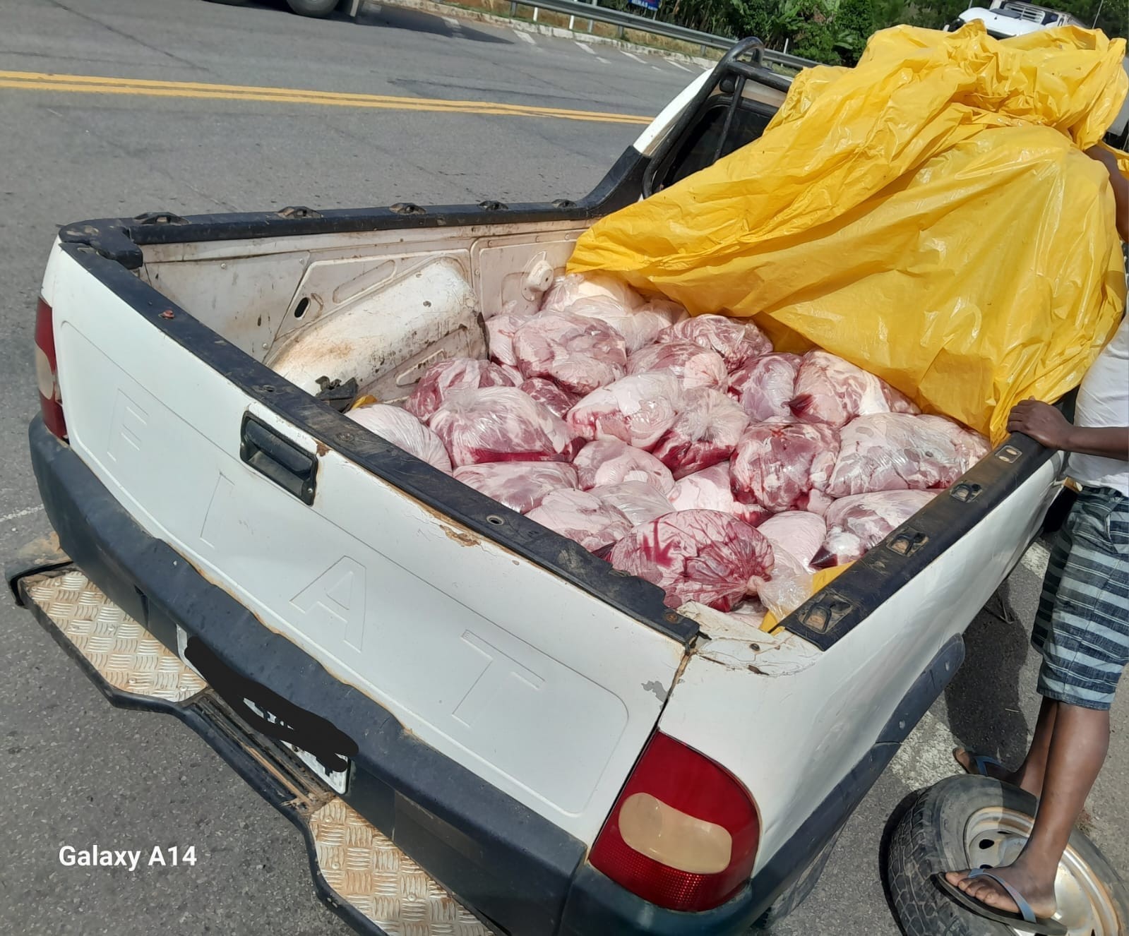 Quase meia tonelada de carne imprópria para consumo é apreendida na MG-265 