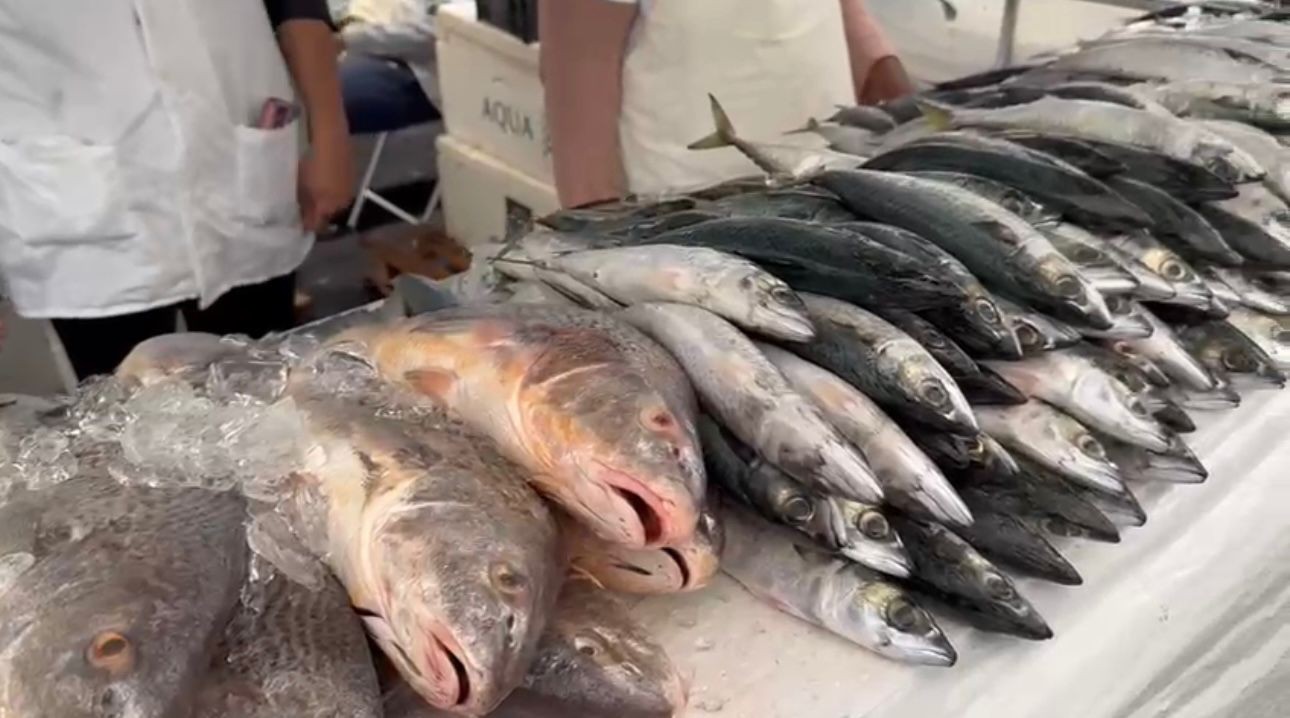 Feira do Pescado espera 20 toneladas em vendas até sexta em Petrópolis, no RJ