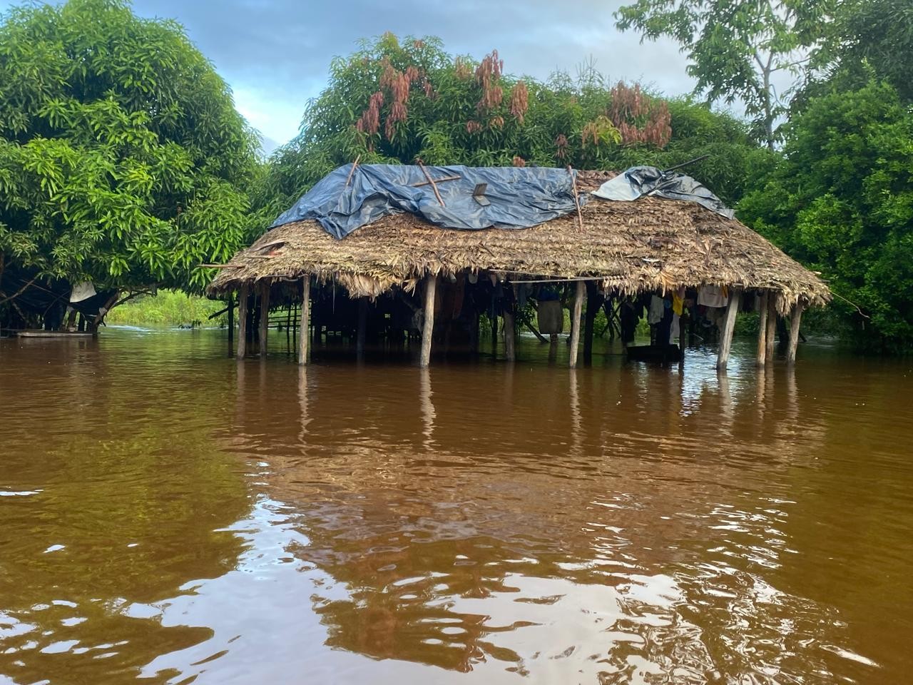 Rios transbordam com chuvas e isolam metade da população no município mais indígena do Brasil; FOTOS