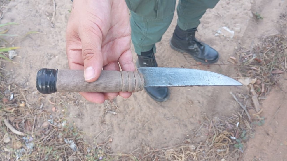Suspeito usou faca para mutilar animal. — Foto: Divulgação