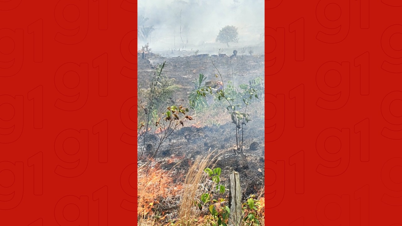 Incêndio atinge área de mata em Careiro da Várzea e município registra qualidade do ar 'muito ruim'; VÍDEOS