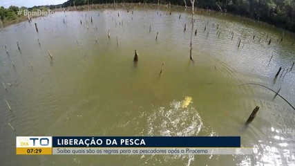 Saiba quais são as regras para pescar após a piracema