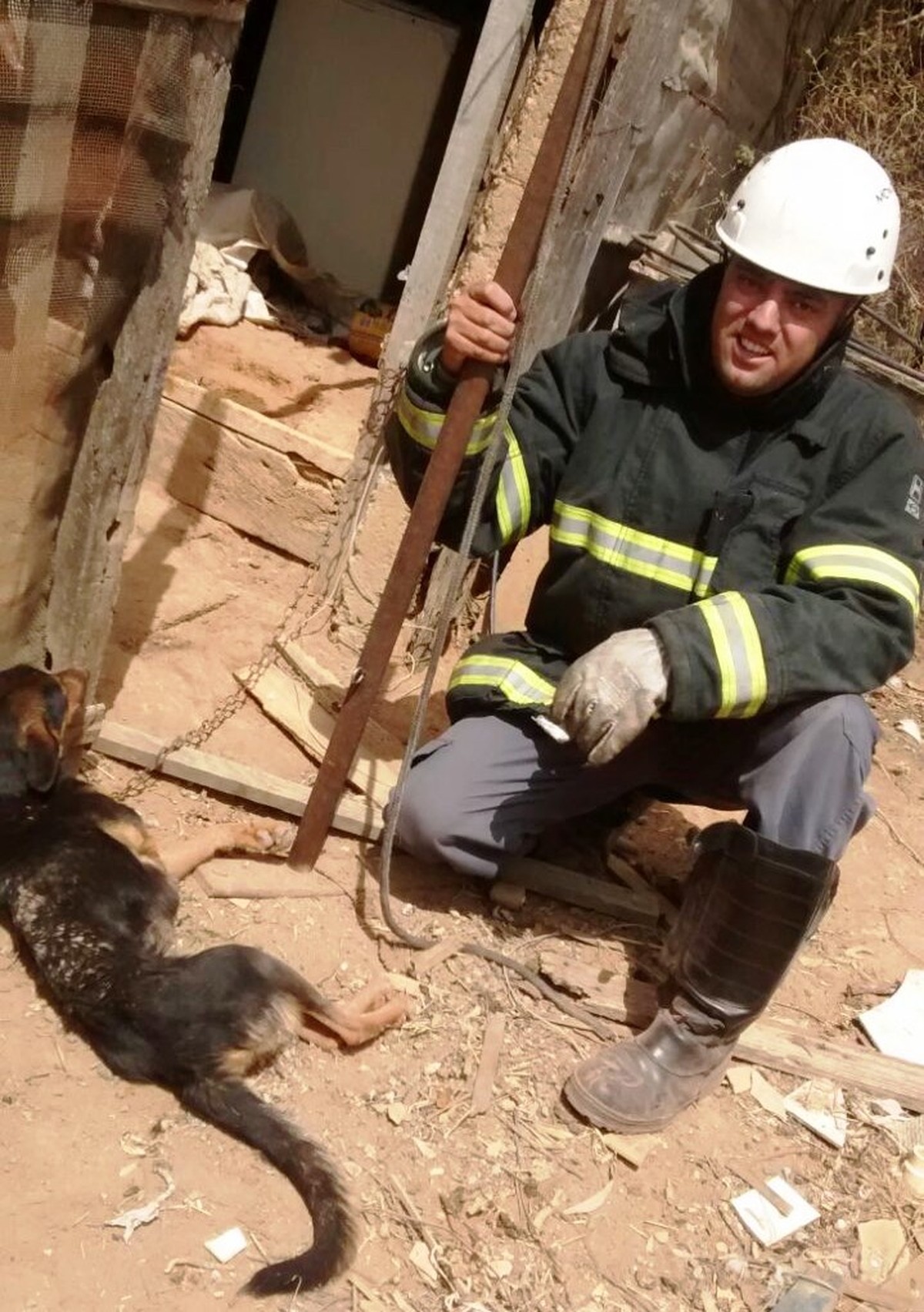Bombeiros Resgatam Cão Que Estava Há 2 Dias Numa Vala De Cerca De 30 Metros Em Barbacena Zona 9223