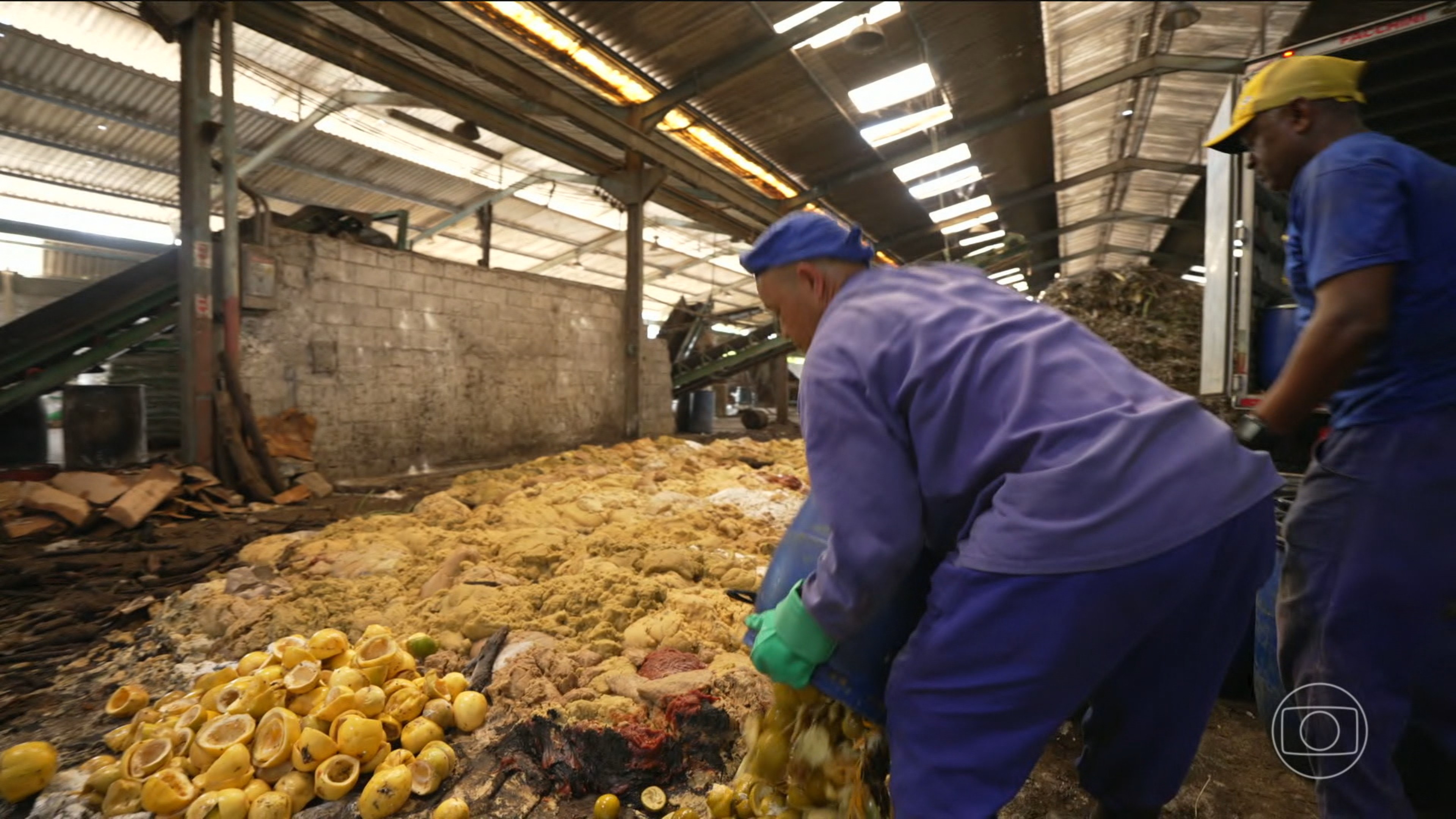 Série do JN mostra como o lixo orgânico pode virar renda e melhorar o meio ambiente