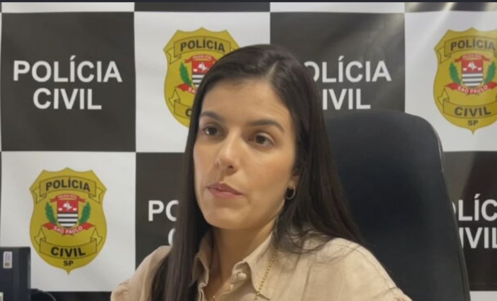 Delegada Michelly da Silva Miliorini, da Delegacia da Defesa da Mulher (DDM) em Andradina (SP) — Foto: TV TEM/Reprodução