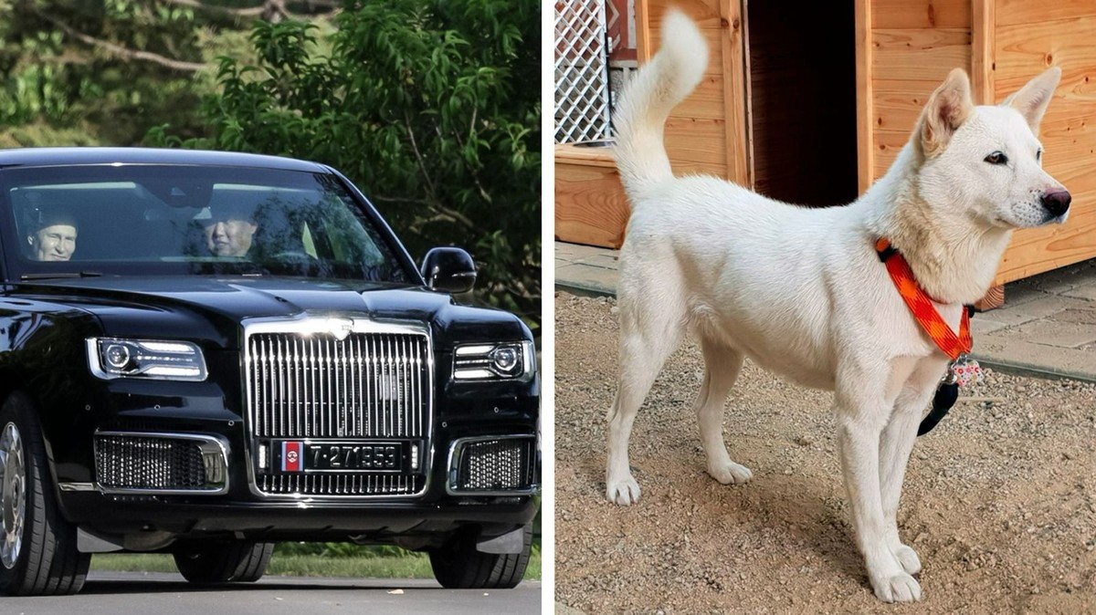 Limusinas y perros de pura raza: los regalos que intercambiaron Putin y Kim Jong Un durante su encuentro en Corea del Norte |  mundo