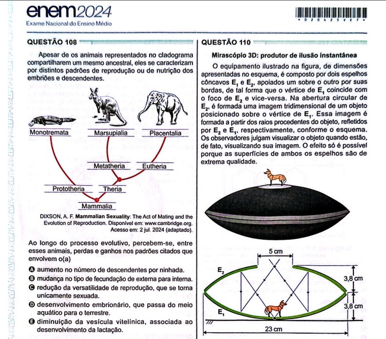 Questões do Enem 2024 - 2º dia: baixe o caderno com a prova de matemática e ciências da natureza