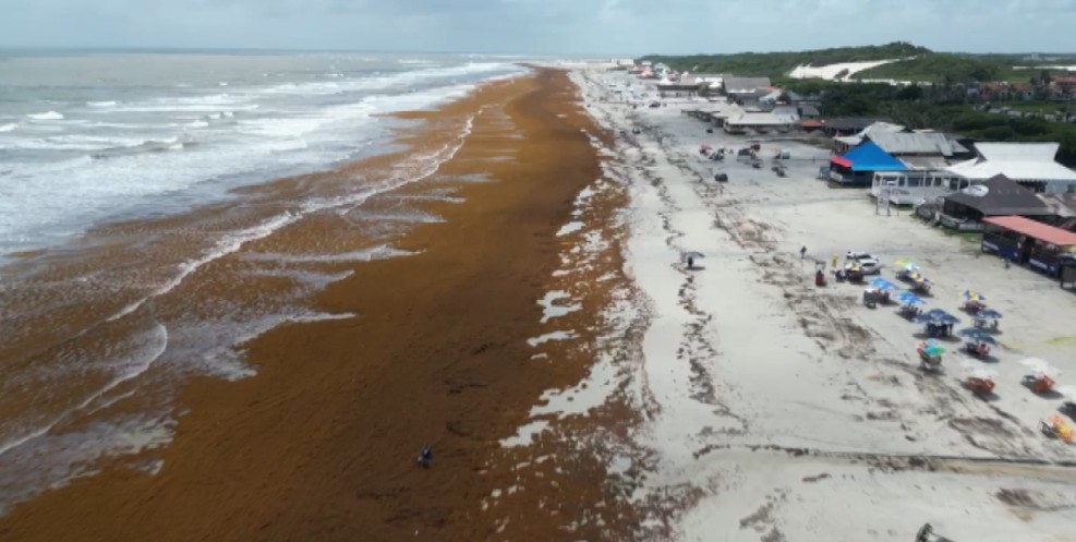 Praia do Atalaia é tomada por sargaço em Salinópolis; entenda fenômeno marítimo e veja antes e depois