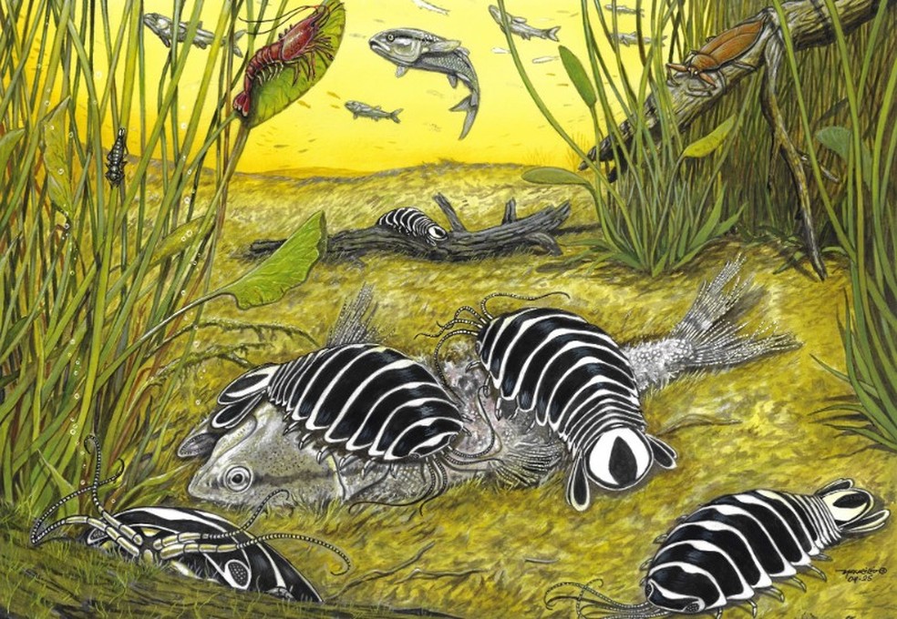 Ilustração de como seria o Cicero spectabilis em seu habitat natural. Na imagem, ele está se alimentando de um peixe morto, cercado de vegetação aquática, em um paleolago — Foto: Maurílio Oliveira, paleoartista do Museu Nacional da Universidade Federal do Rio de Janeiro (UFRJ)