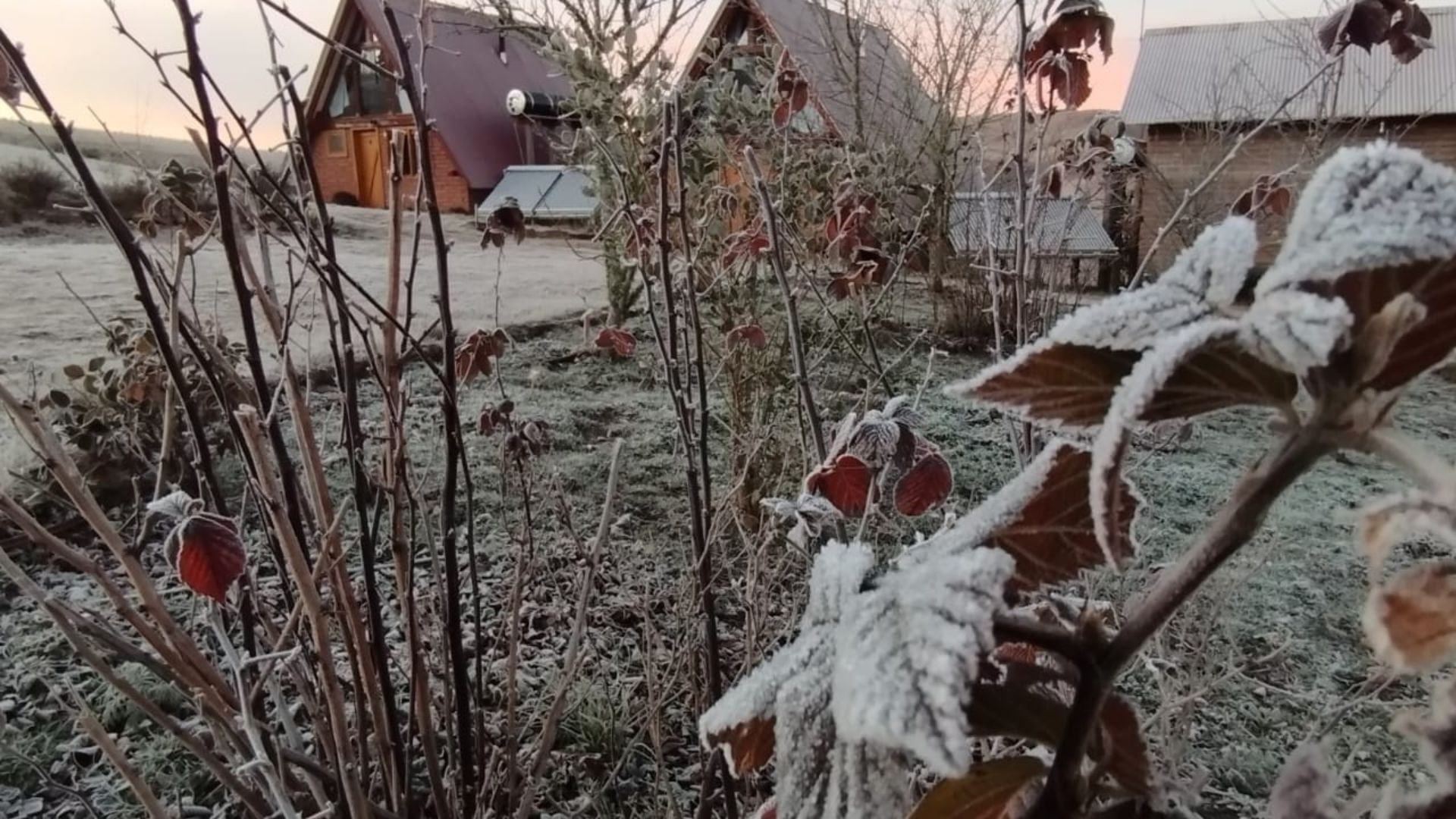 Massa de ar polar derruba temperaturas no RS e cidades registram até -2,4°C