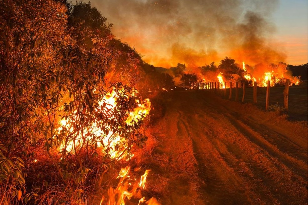 Escassez de água e fogo subterrâneo dificultam combate a incêndio no  Pantanal de MT perto da fronteira com a Bolívia, Mato Grosso