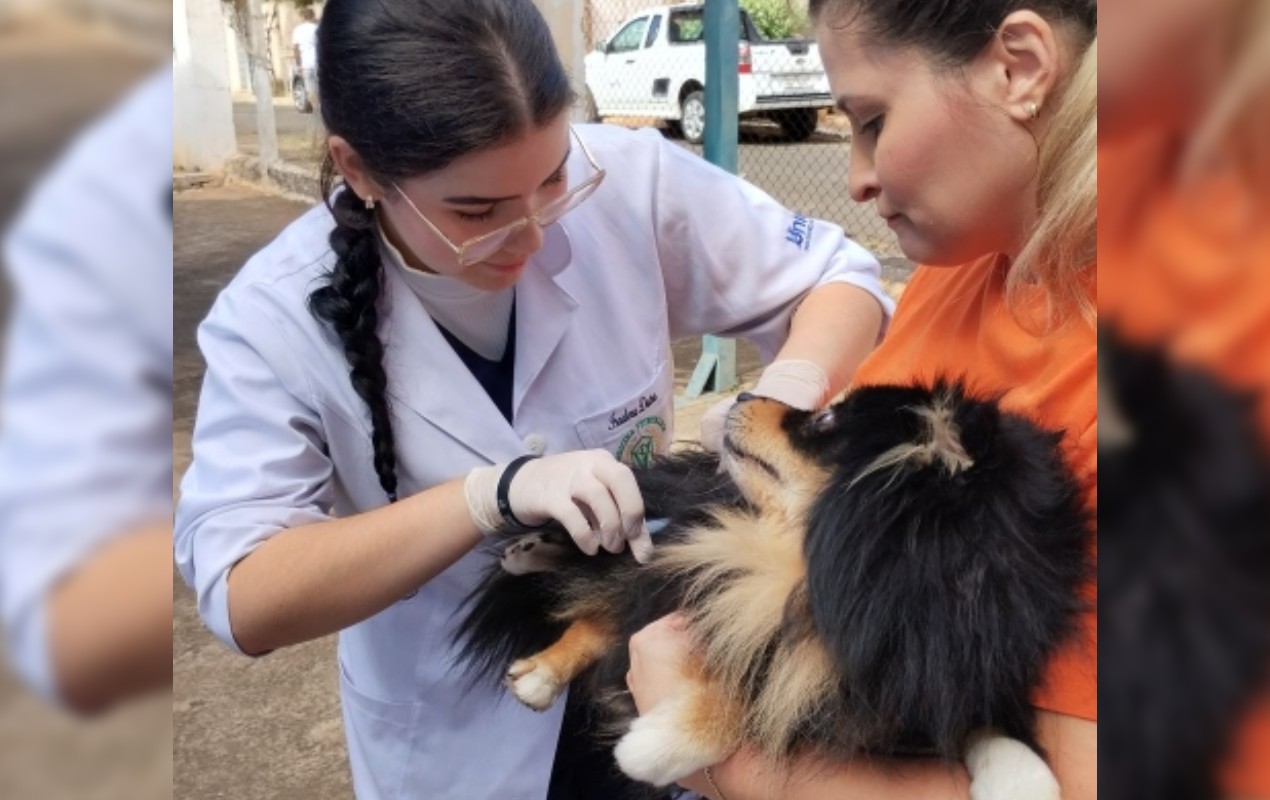 Ação de vacinação antirrábica para cães e gatos é promovida em Marília neste sábado