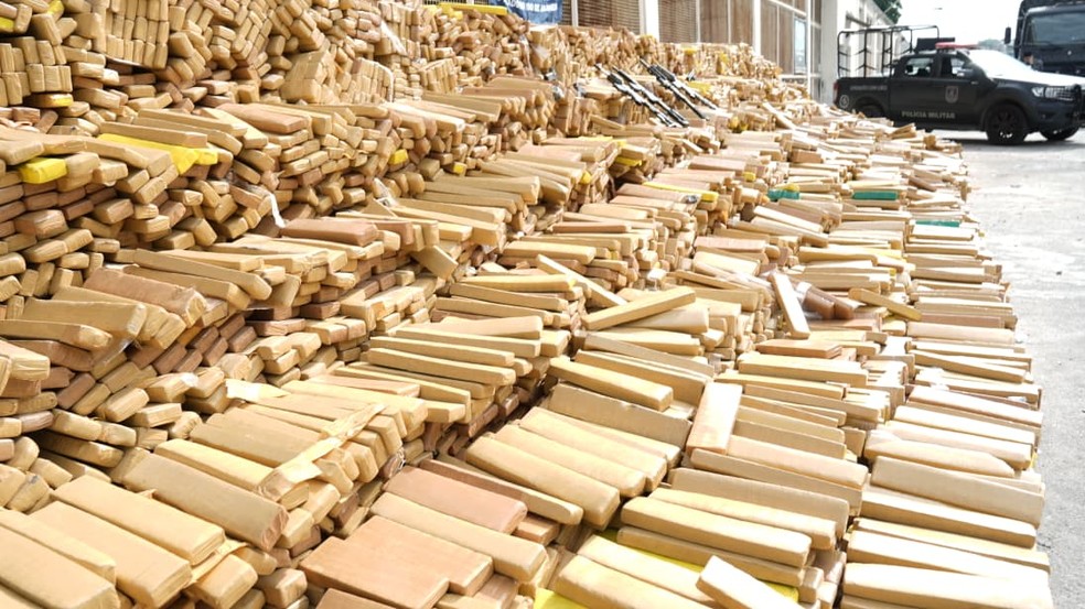 Cerca de 48 toneladas de maconha estavam escondidas em um galpão na Nova Holanda — Foto: Divulgação