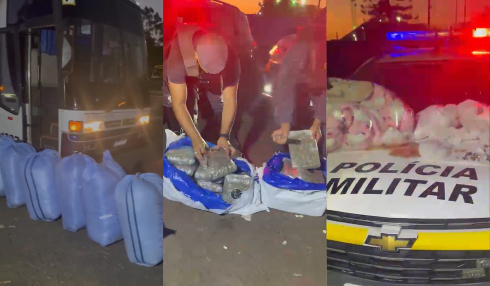 Polícia apreende mais de 560 kg de drogas escondidas em sacos de pipoca em ônibus em Presidente Prudente (SP) — Foto: Polícia Militar Rodoviária/Divulgação