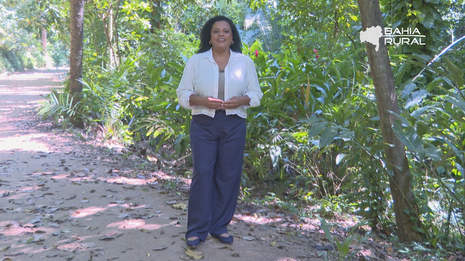 Vídeos do g1 e TV Bahia