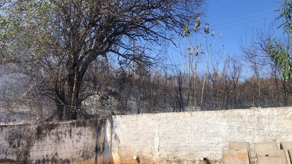 O incêndio começou em uma vegetação localizada atrás da casa, conforme testemunhas — Foto: Paulo Henrique Rodrigues/Sistema Verdes Mares (SVM)