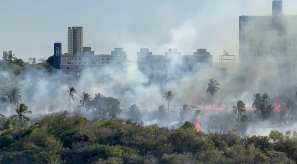 Incêndio atingiu área de mata nas margens da BR-101 na Grande Natal — Foto: Daniel Rizzi/Cedida