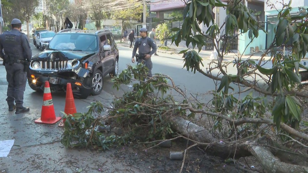 Carro colidiu com árvore na Zona Sul de São Paulo. — Foto: Marcelo Campos