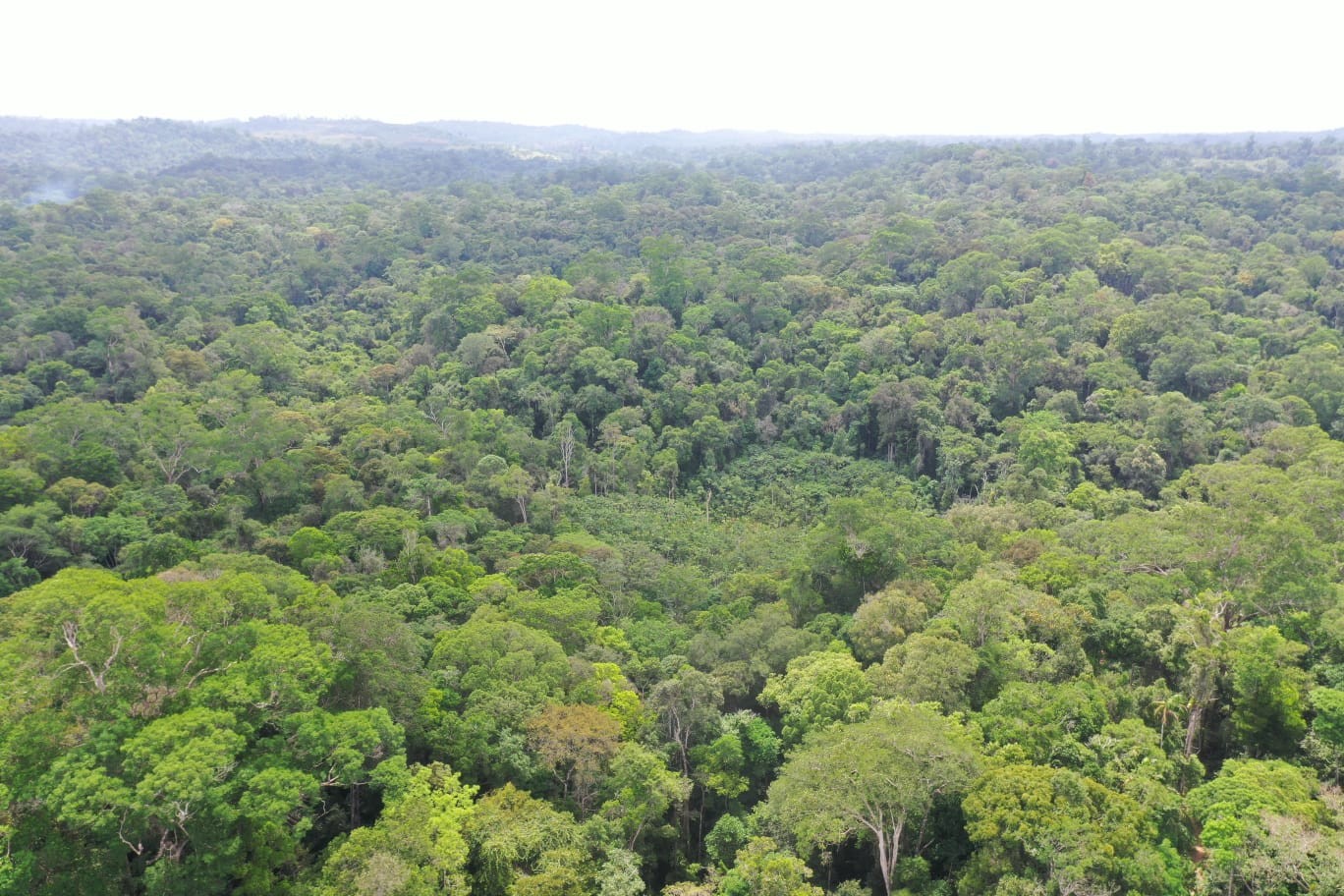Buscas por idoso desaparecido após sair para caçar no interior do Amapá são encerradas após 12 dias