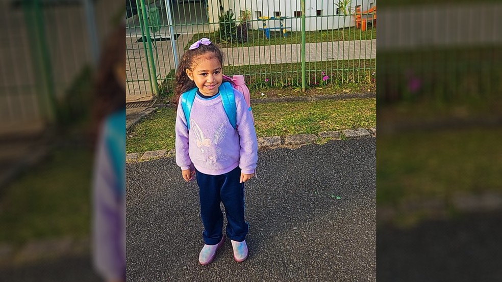 Lívia Godoi da Silva, de 5 anos, passou pelo transplante de coração e só meses depois pode voltar para a escola — Foto: Arquivo Familiar