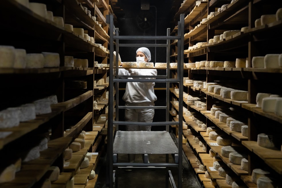 Queijos sendo virados nas cavernas de maturação do Queijo Pardinho Artesanal — Foto: Celso Tavares / g1