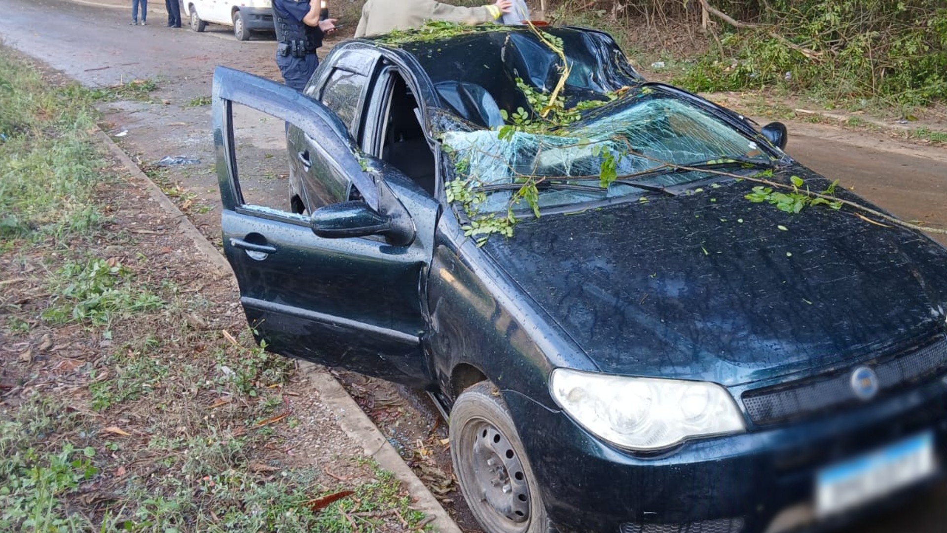 Homem morre após árvore cair sobre carro durante rajada de vento em Cesário Lange