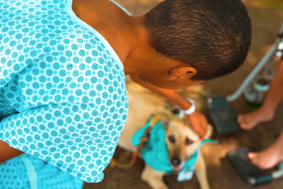 Pacientes da ala infantil receberam visita de cadela Vilma Thalita em Botucatu — Foto: Hospital das Clínicas de Botucatu/Divulgação