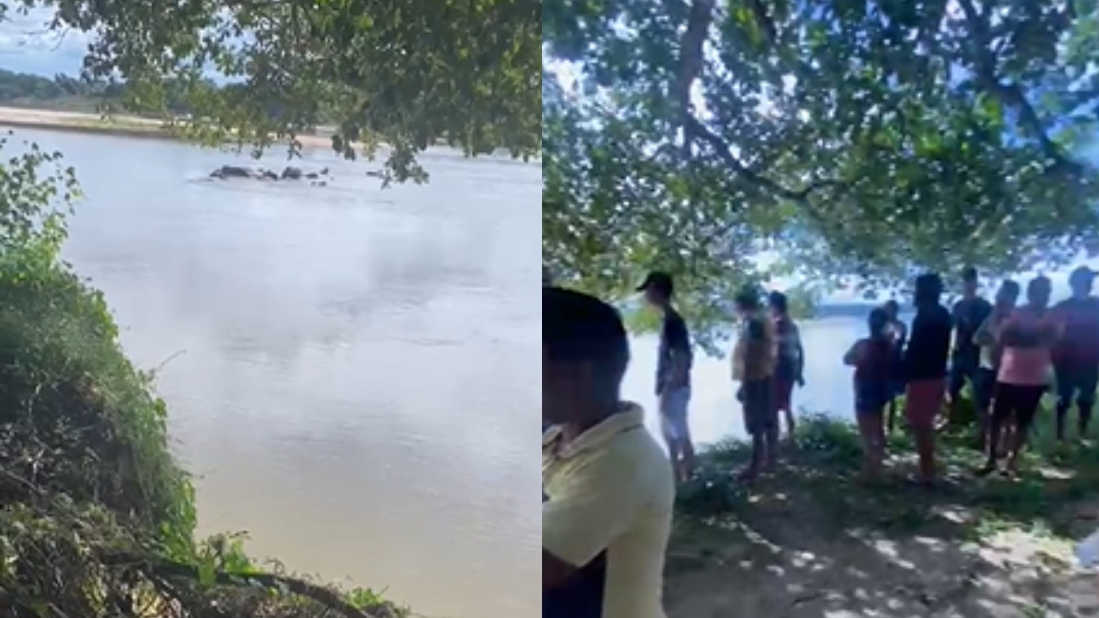 Jovem de 19 anos desaparece após se afogar no Rio Parnaíba, em Madeiro, no Piauí; bombeiros são acionados
