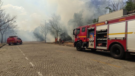 Local onde vacina brasileira contra Covid é desenvolvida tem que ser evacuado após incêndio em mata vizinha - Foto: (Corpo de Bombeiros/ Divulgação)