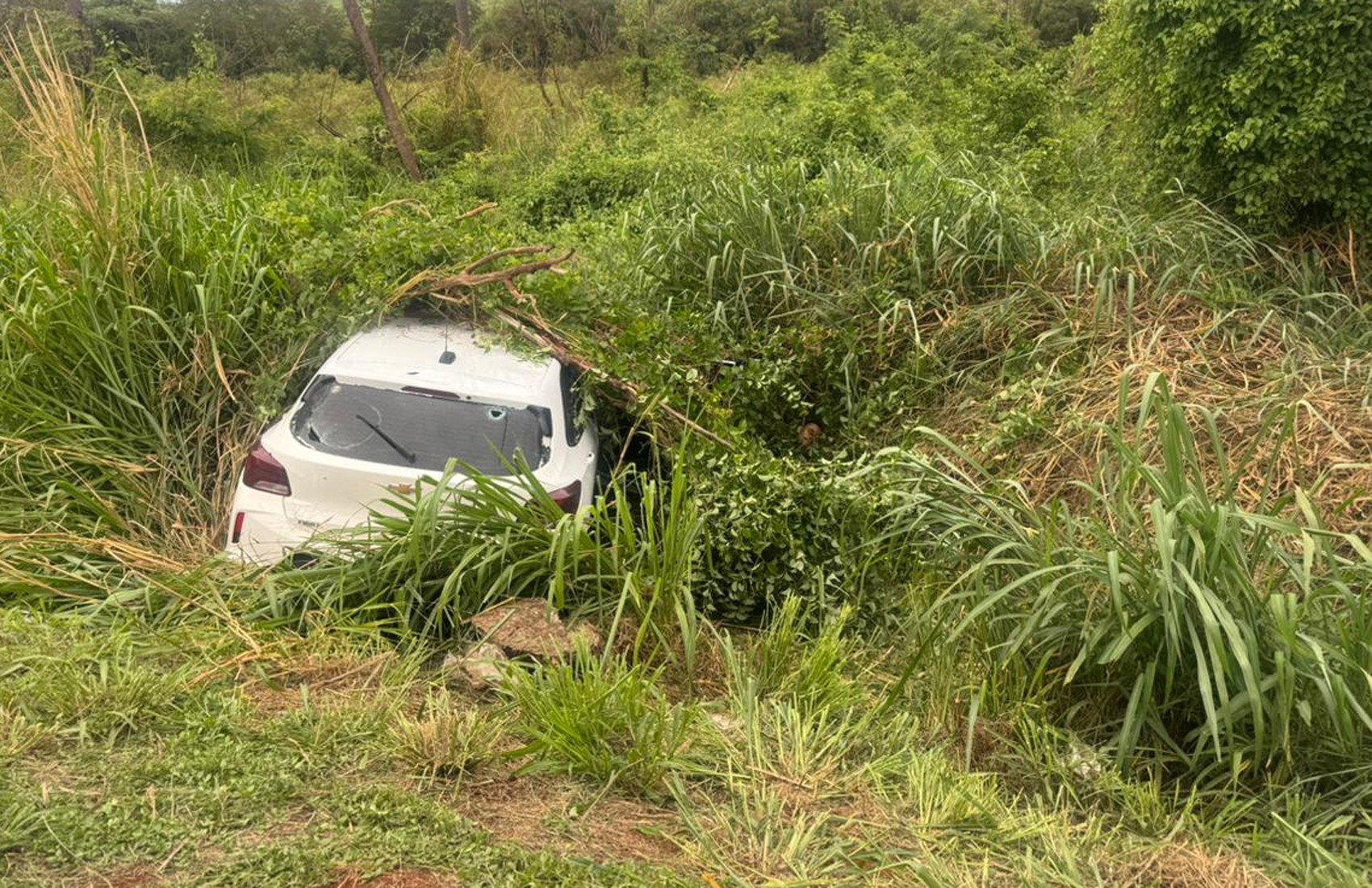 Suspeito de transportar drogas morre baleado em confronto com a polícia em Pitangueiras, SP