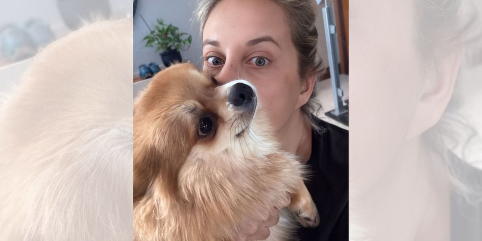 Tutora divide rotina de 7 cães com o ex-marido — Foto: Arquivo pessoal
