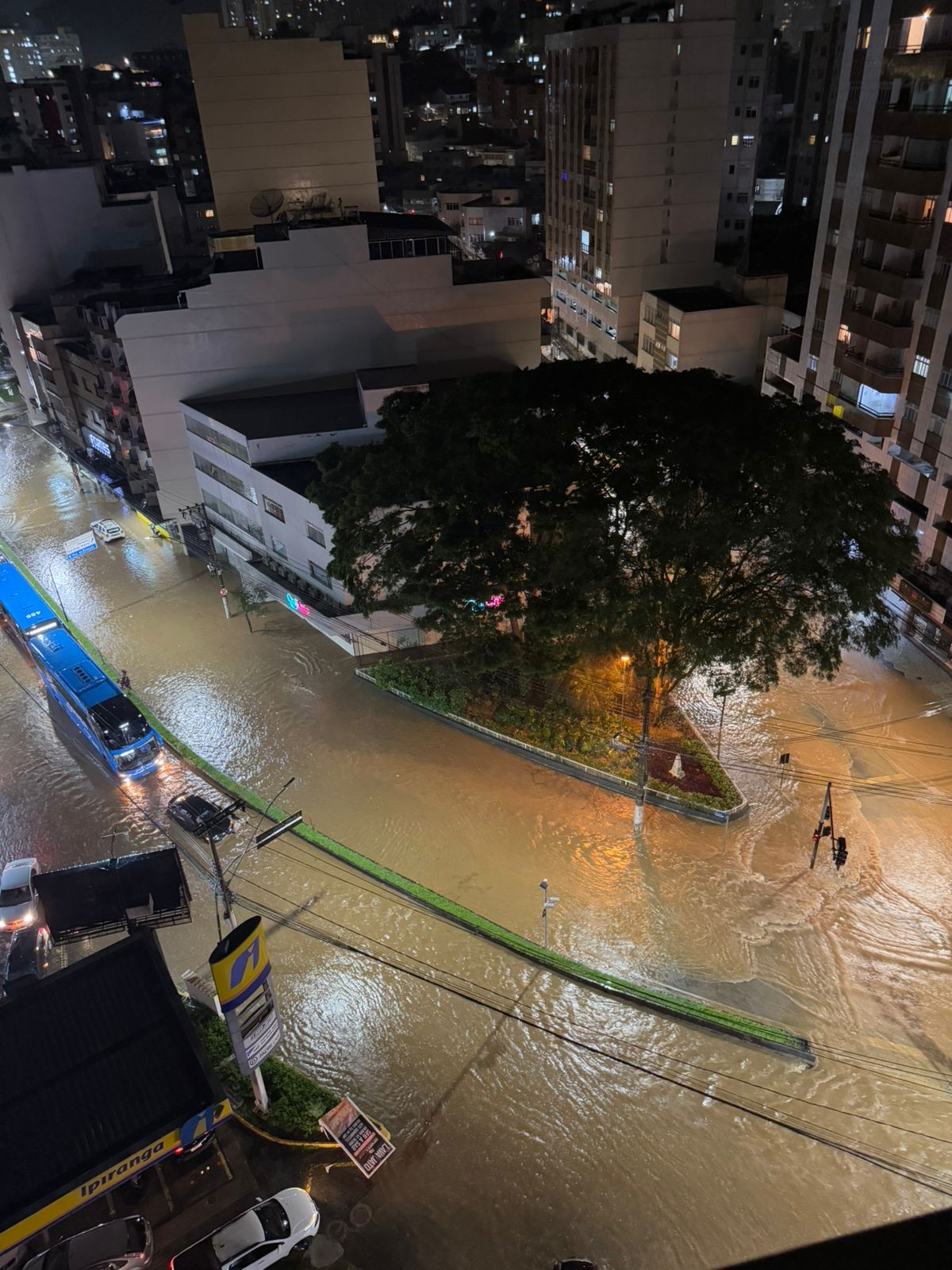 Temporal alaga ruas e derruba árvores em Juiz de Fora neste domingo; FOTOS e VÍDEOS 