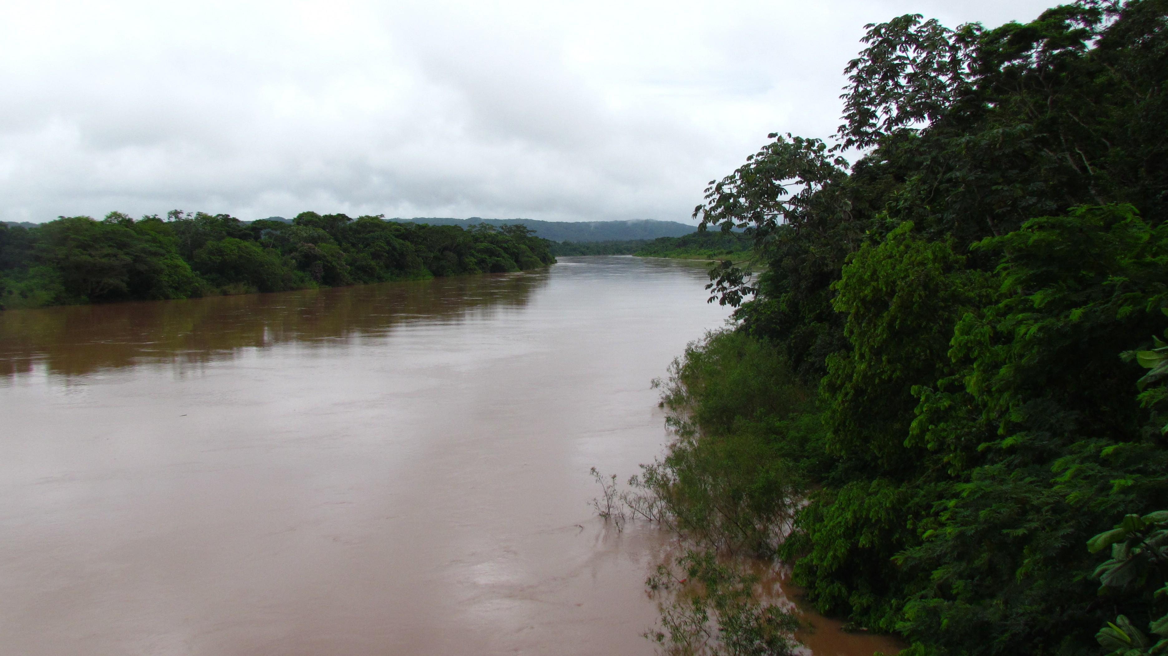 Jornalistas atravessam o Pantanal de barco para contar como voluntários levaram consultas e vacinas a ribeirinhos de MT