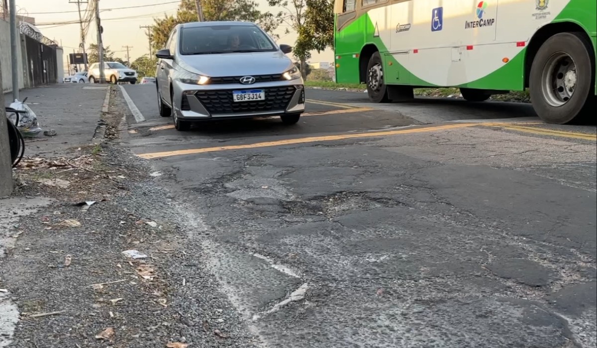 Buracos, árvores e mato alto: veja os problemas que mais levam moradores de Campinas a fazer reclamações no 156