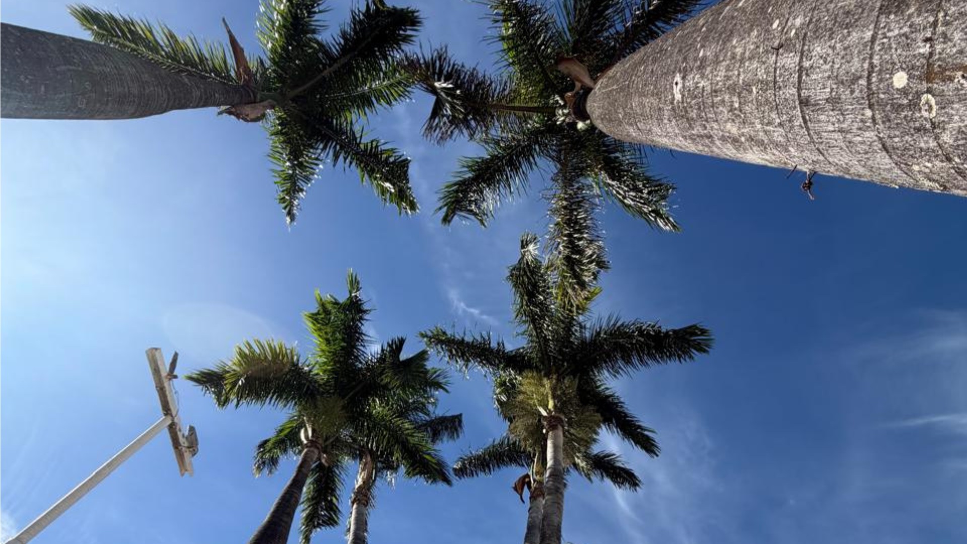Triângulo e Alto Paranaíba enfrentam semana de calor intenso e baixa umidade do ar