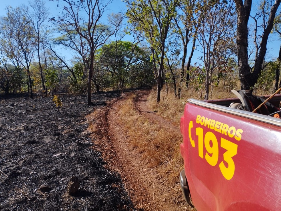 Bombeiros combateram incêndio em serra na zona rural de Palmas — Foto: Bombeiros/Divulgação