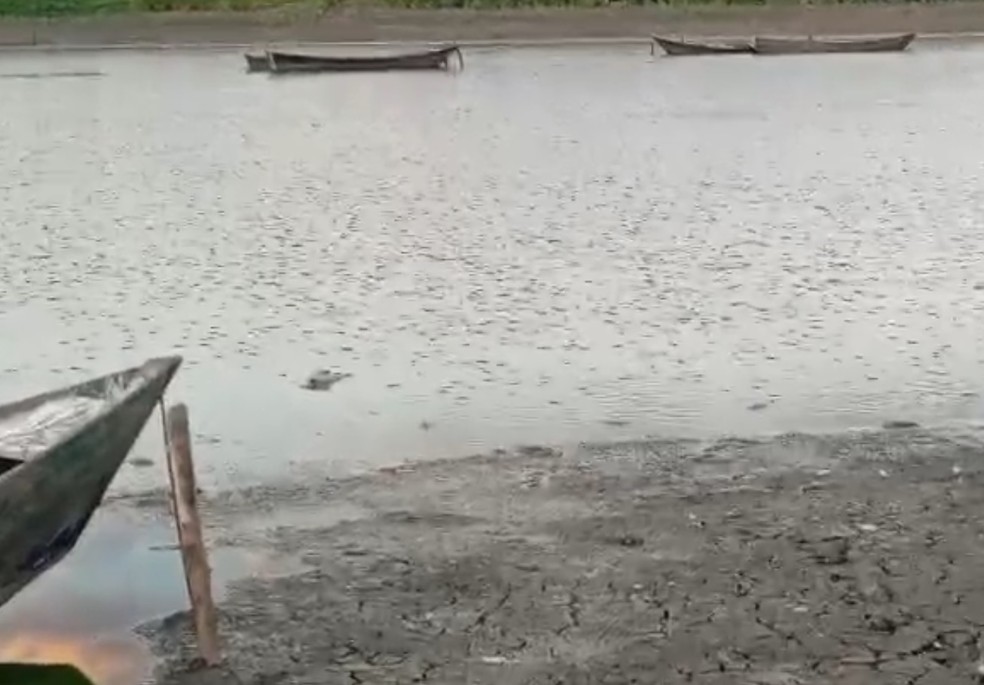 Peixes mortos apareceram no Itans — Foto: Redes sociais