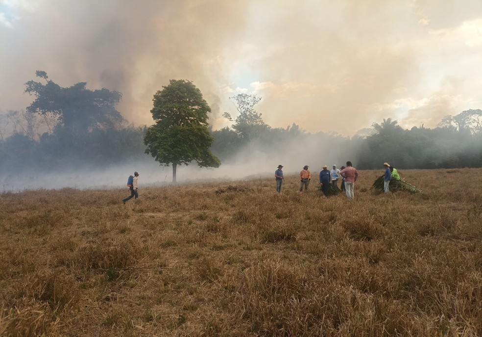 Pessoas envolvidas no combate ao incêndio em Araguanã — Foto: Divulgação/Secretaria de Meio Ambiente de Araguanã