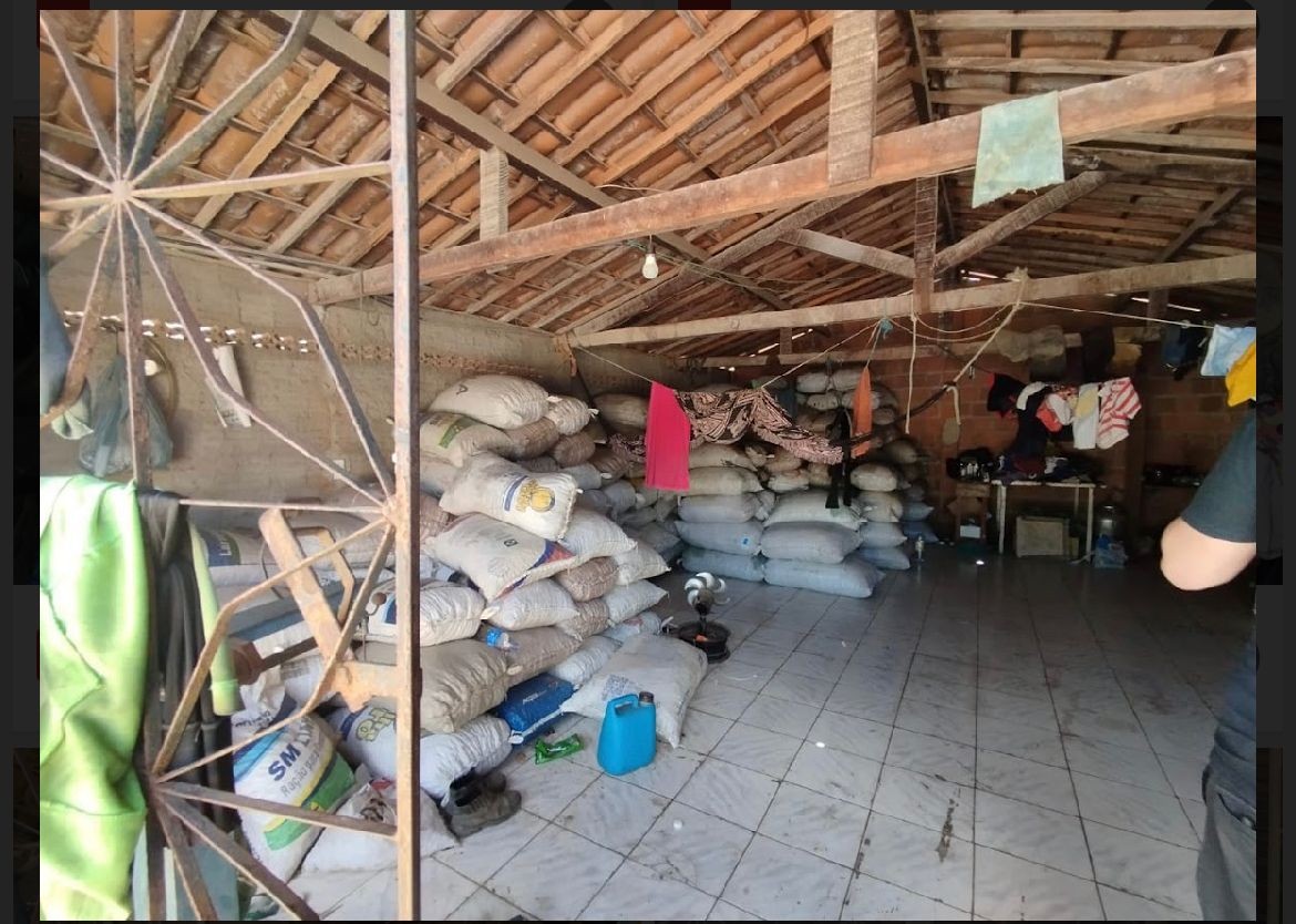 Trabalhadores da colheita de caju são resgatados de condição similar à escravidão no Ceará