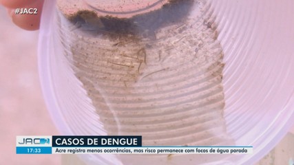 Acre registra menos ocorrências, mas risco permanece com focos de água parada