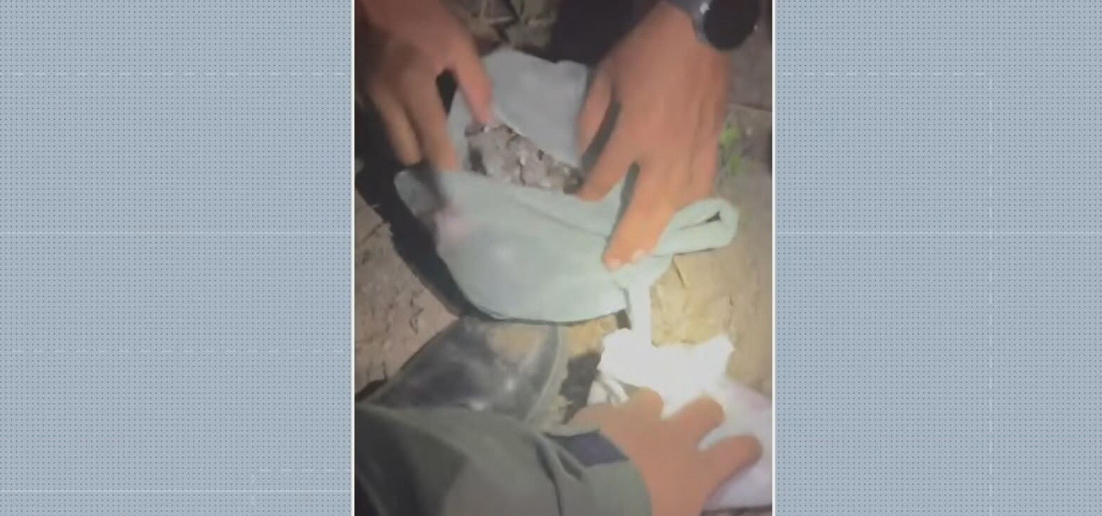Arma e drogas são encontradas enterradas no Grande Recife; VÍDEO
